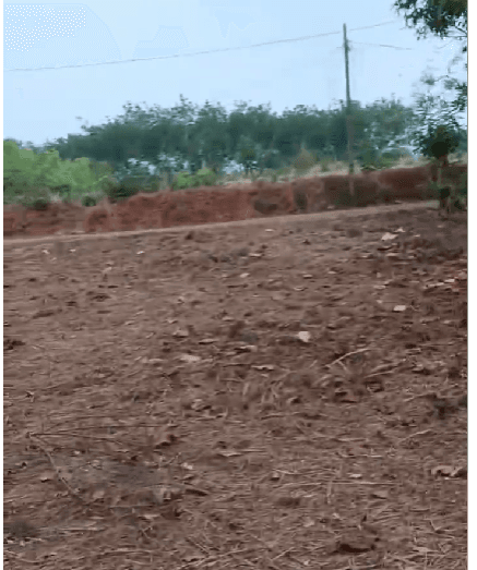15.75 centhouse plot